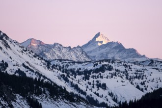 Summit of Grossglockner at sunset in winter, Hochbrixen, Brixen im Thale, Tyrol, Austria