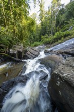 Derema Waterfall flows through thick vegetation, tropical rainforest in Amani Nature Forest