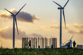 Construction site of the new Bedburg 3 wind farm, on recultivated open-cast mining site, 9 wind