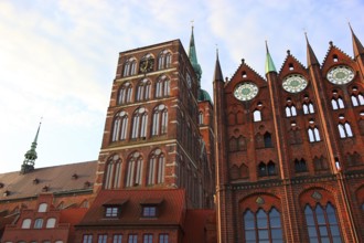 Town hall in the urban area of Altstadt, Stralsund, Hanseatic City of Stralsund, Vorpommern-Rügen