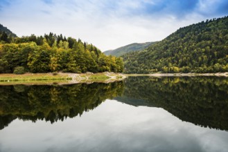 Picturesque mountain lake with water reflections in autumn, Lac de Kruth-Wildenstein, Kruth,