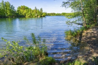 Landscape of a little lake on a sunny day in spring, Upper Palatinate, Bavaria, Germany