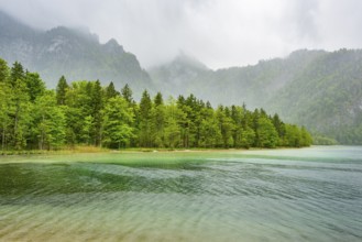 Landscape of Lake Offensee on a rainy day in spring, Salzkammergut, Austria