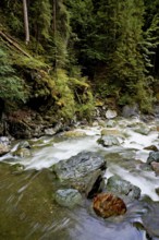Diosaz mountain river in the gorge, Gorges de la Diosaz, Les Houches, Chamonix-Mont-Blanc,