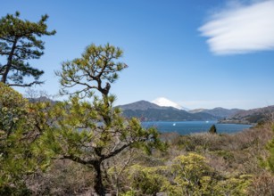 View of Lake Ashi with Mount Fuji volcano, Benten-no-hana Tenbodai viewpoint, Hakone Park, Hakone,