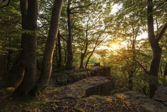 A picturesque sunset bathes the forest and rocky cliffs of the Kanstein in golden light, Thüster