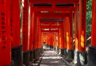 Walk through hundreds of red traditional torii gates, Fushimi Inari Taisha, Shinto Shrine, Fushimi