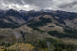 Logging, clearing, clearcut, timber industry, logging, mountain landscape, aerial view, autumn,