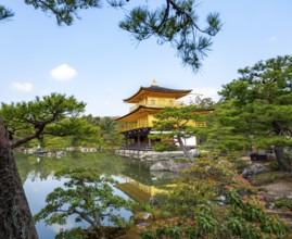 Golden Pavilion reflected in pond, Japanese garden, Golden Pavilion Temple, Kinkaku-ji reliquary,