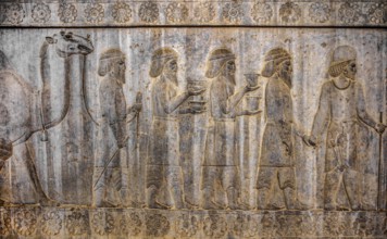Relief detail of the delegation of peoples bringing gifts to Darius on the stairs of the Apadana