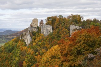 Indian summer on the Swabian Jura in the Nenninger Valley with the ruins of Reussenstein Castle