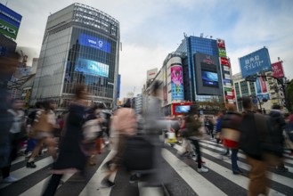 Crowd crossing zebra crossing on a large intersection, motion blur, back modern houses with