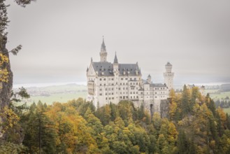 Neuschwanstein in autumn, Schwangau, Füssen, Allgäu, Bavaria, Germany