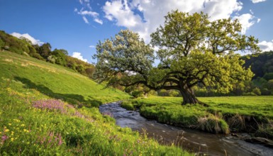 A serene landscape featuring a large tree by a stream at sunset with vibrant green grass and