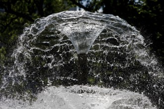 Water bell fountain in the spa garden, detail, Bad Homburg vor der Höhe, Hesse, Germany