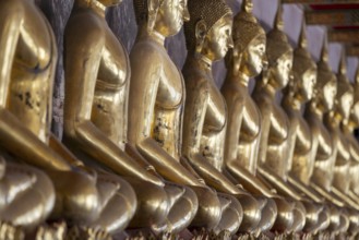 Gilded Buddha statues (Bhumispara mudra: Buddha Gautama at the moment of enlightenment), Wat Suthat