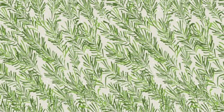 Stylized, hand drawn fir tree branches and snow flakes seamless vector pattern design for winter