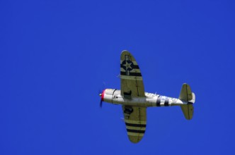 An RC model of a Republic P-47 Thunderbolt during a demonstration as part of an air show at the