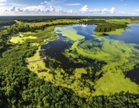 Green algae on the lake. Aerial view of nature, landscape with hills and forest in summer, cloudy