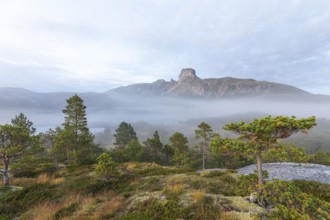 Magical morning fog on Steigtindvatnet in front of the majestic Steigtinden in Norway near Bodø