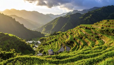 Early morning light bathes Philippines rice terraces cascading down mountain slopes, beautiful