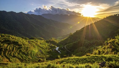 Early morning light bathes Philippines rice terraces cascading down mountain slopes, beautiful