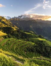 Early morning light bathes Philippines rice terraces cascading down mountain slopes, beautiful