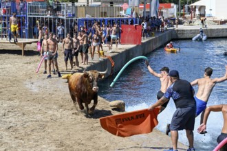Bous a la Mar Fair, in English Bulls in the Sea, Bullfighting, Javea or Xàbia, Alicante Province,
