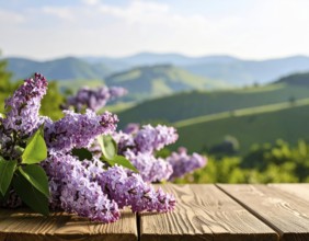 Beautiful Spring Lilacs Bloom Over Wooden Table with Rolling Hills in Background, sunrise at
