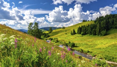 Fresh summer hilly Landscape with blooming Meadow, green plants, Blue Sky with cloudy sky, serene