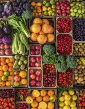 Fresh fruits and vegetables in a market display, aerial view perpendicular top down, healthy eating