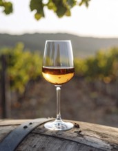 A glass of 10-year-old tawny wine placed on a barrel in a vineyard restaurant, vineyard landscape