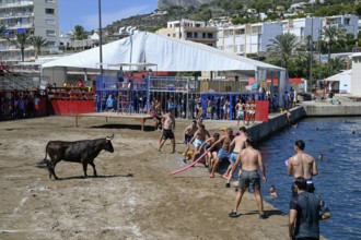 Bous a la Mar Fair, in English Bulls in the Sea, Bullfighting, Javea or Xàbia, Alicante Province,