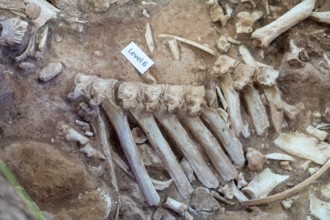 Beulah, Wyoming - The Vore Buffalo Jump, a sinkhole used by Plains Indians as a trap for bison from