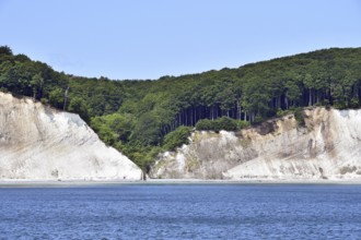 Chalk coast at Jasmund National Park on Rügen, Mecklenburg-Western Pomerania, Germany