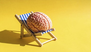 Brain relaxes on a sunbed under the summer sun, placed on a flat surface, symbol for mental health,