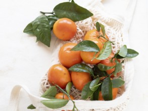 Vibrant tangerines with green leaves rest in a reusable shopping bag, embodying eco-conscious