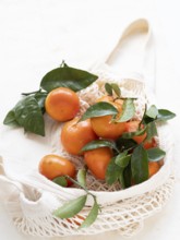 Vibrant tangerines with green leaves are nestled in a reusable shopping bag, promoting a