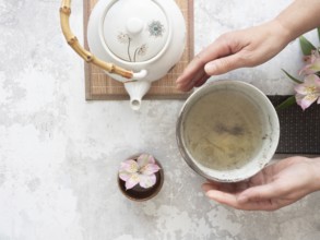 Woman gently holding a tea bowl during a traditional japanese tea ceremony, with teapot and flower