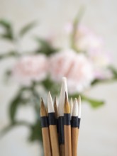 Close-up of chinese calligraphy brushes with pink carnations blurred in the background, creating a