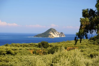 Marathonisi, affectionately known as Turtle Island, is a small, uninhabited islet in the Bay of