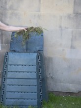Gardener adding weeds to compost bin in urban garden, promoting sustainable gardening practices