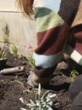 Gardener planting seedlings in fertile soil, nurturing urban garden on a bright day