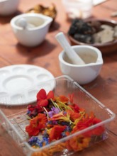 Colorful flowers and vegetables are being prepared for creating natural inks and pigments in a