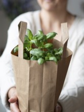 Woman offering fresh basil plant in a brown paper bag