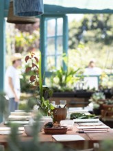 Workshop table prepared with flowers, vegetables, notebooks and tools for creating natural inks and