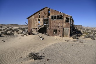 Schädel einer Oryx-Altilope (Oryx gazella) vor einer Ruine der ehemaligen Diamantenstadt Pomona,