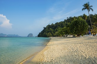 White sandy beach and coconut palms, Sunrise Beach, Koh Great white shark, Ko Ngai, Krabi Province,