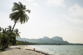 White sandy beach and coconut palms, Pearl Beach, Koh Mook, Trang Province, Southern Thailand,