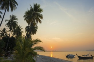 White sandy beach and coconut palms, sunset, Pearl Beach, Koh Mook, Trang Province, Southern